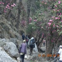 everest base camp trek