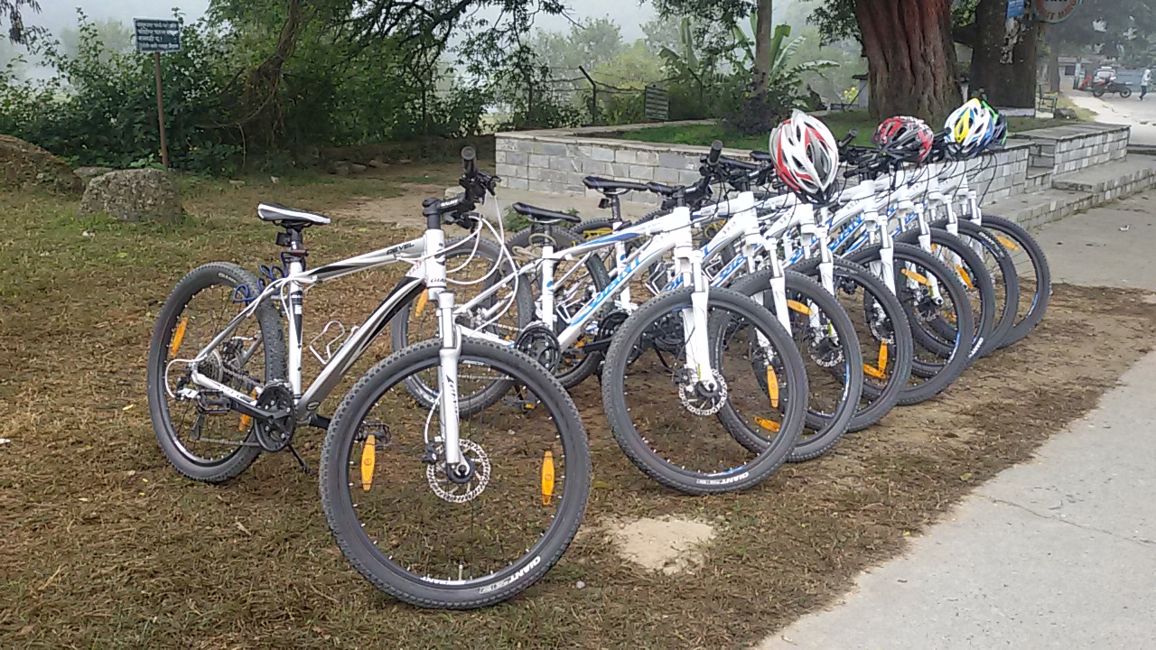 Biking Tours